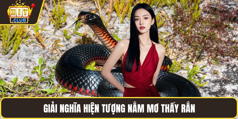 Giải nghĩa hiện tượng nằm mơ thấy rắn