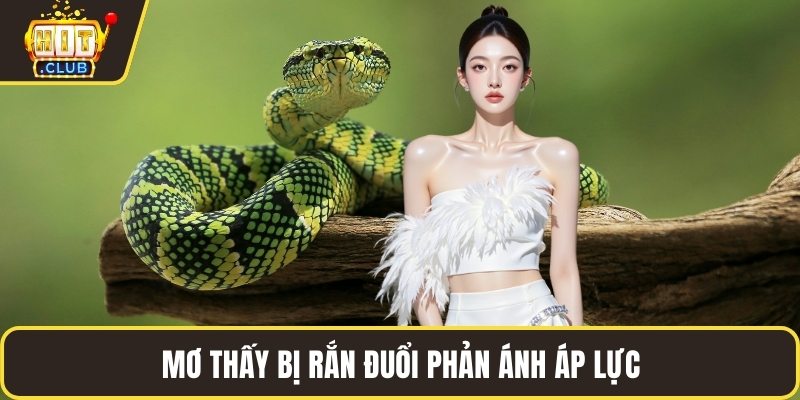 Mơ thấy bị rắn đuổi phản ánh áp lực